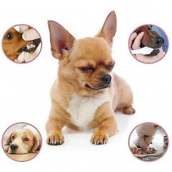 Pet Teeth Cleaning Spray- Pet Breath Freshener Oral Spray