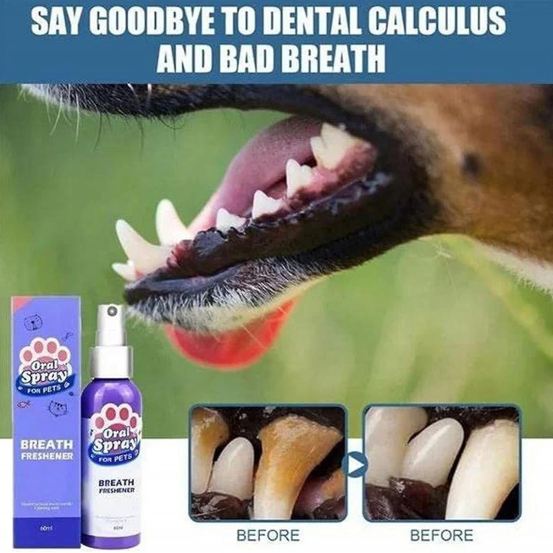 Sprays de soins bucco-dentaires pour chien et chat Mauvaise respiration Freshener Plants Extrait Sprays Dents [...]