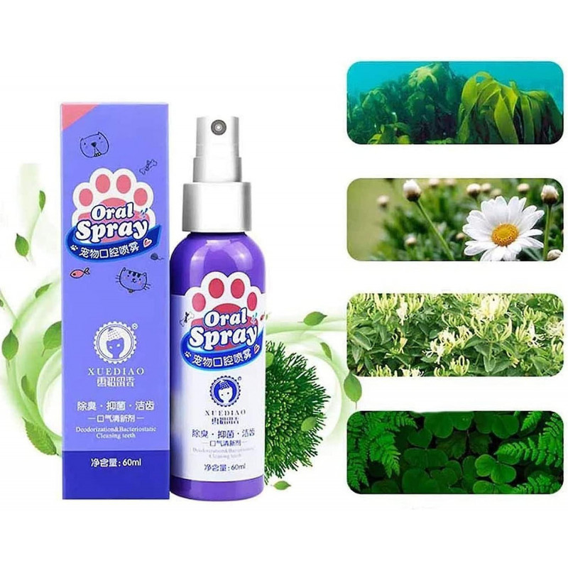 Sprays de soins bucco-dentaires pour chien et chat Mauvaise respiration Freshener Plants Extrait Sprays Dents [...]