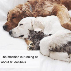 Broyeurs de griffes pour chiens et chats, 60 Gecibels Super Quiet