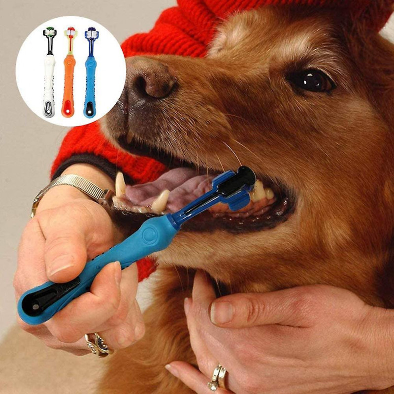 3pcs Brosse à dents pour animaux de compagnie, Brosse à dents à trois têtes pour animaux de compagnie, Brosse à [...]