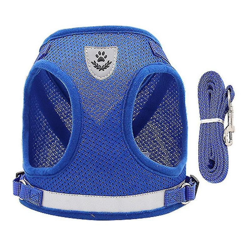 Harnais pour chien et ensemble de laisse pour promener le chat et le harnais pour petit chien