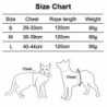 Harnais pour chien et ensemble de laisse pour promener le chat et le harnais pour petit chien