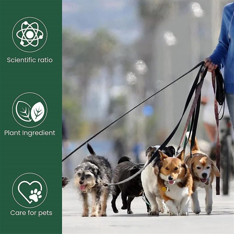 Gouttes probiotiques pour animaux de compagnie,Supplément de soutien digestif et immunitaire pour chiens et [...]