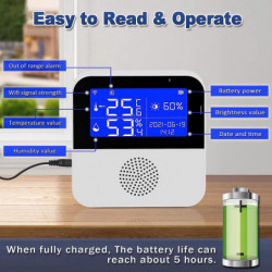 Wifi Temperature Humidity Monitor, 1pcs
