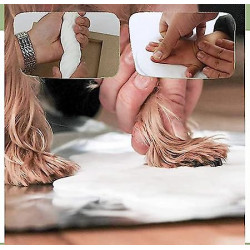 Claw Print Set For Dogs And Cats, Wooden Frame, 3d Plaster Model