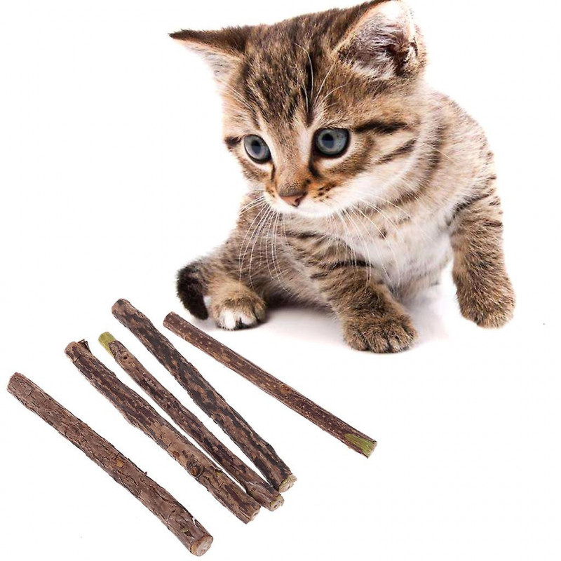 5 Pcs Silvervine Sticks for Cat Dental Toy for Kittens Teeth Cleaning Natural