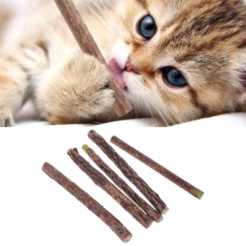 5 Pcs Silvervine Sticks for Cat Dental Toy for Kittens Teeth Cleaning Natural