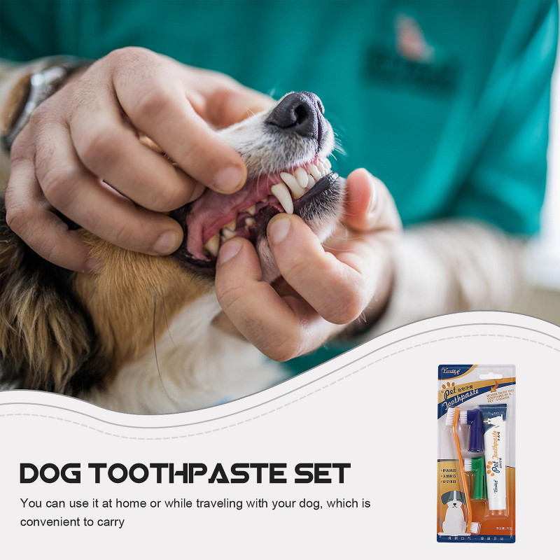 1 Set Dog Toothpaste Pet Periodontal Care Kit Oral Cleaning Supplies (Beef Flavor)