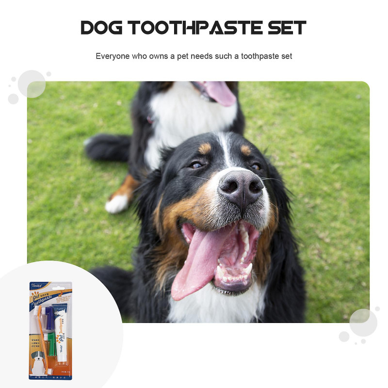 1 Set Dog Toothpaste Pet Periodontal Care Kit Oral Cleaning Supplies (Beef Flavor)