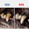 Dent dentaire de chien pour détartreur et racleur Outils de nettoyage des dents d’animaux pour chats Chiens