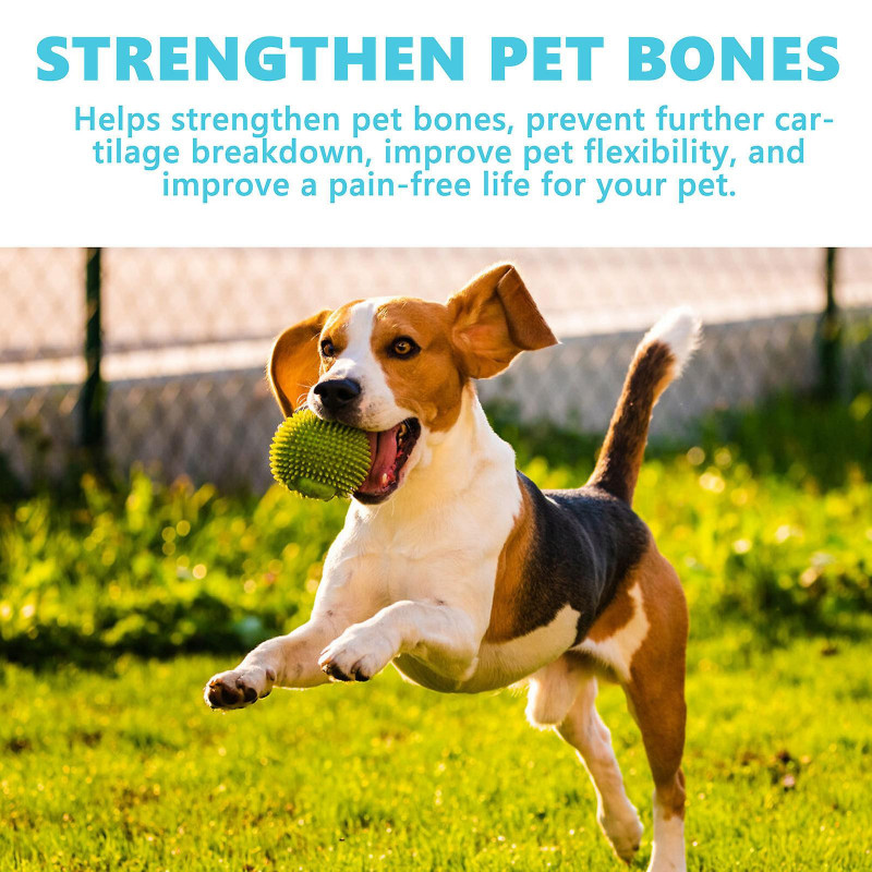 Glucosamine pour les articulations des animaux de compagnie, glucosamine pour les chiens et les chats, soulagement [...]