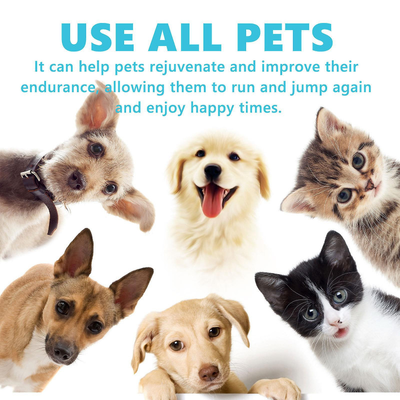 Glucosamine pour les articulations des animaux de compagnie, glucosamine pour les chiens et les chats, soulagement [...]