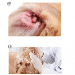 Poudre d’épilation des oreilles d’animaux douce et durable, poudre de nettoyant pour les oreilles d’animaux, [...]