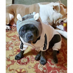 Oreilles Silencieuses Pour Chiens Protection Du Cou Et Des Oreilles Pour Animaux De Compagnie Oreilles Cache- [...]