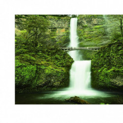 Fish Tank Sticker Aquarium Pvc Adhesive Background Backdrop Decoration L