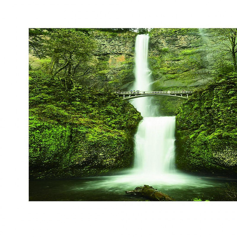 Fish Tank Sticker Aquarium Pvc Adhesive Background Backdrop Decoration L