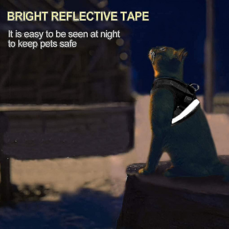 Dog Harness And Leash Set For Walking Cat And Small Dog Harness