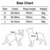 Dog Harness And Leash Set For Walking Cat And Small Dog Harness