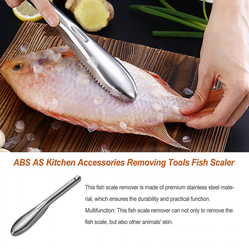 Fish Scaler Stainless Fishing Home Supplies Scales Graters