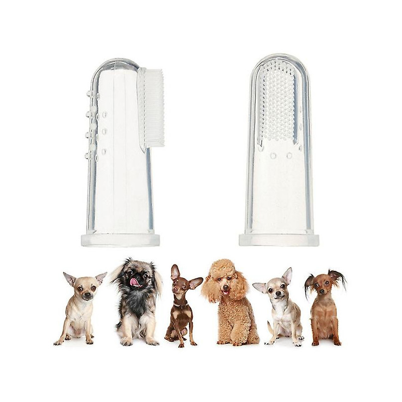 4 Pcs Infant Toothbrush Cat Toothbrush Puppy Brush Small Dogs Pet Toothbrush Dog