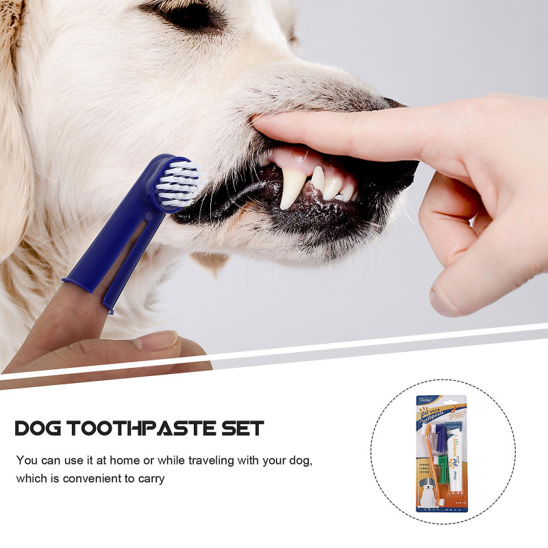 Doggy Toothpaste Dog Dental Brush Dog Dental Toothbrush Dog Oral Care Brush Dog Oral Care Kit Cat Toothpaste Toothbrush