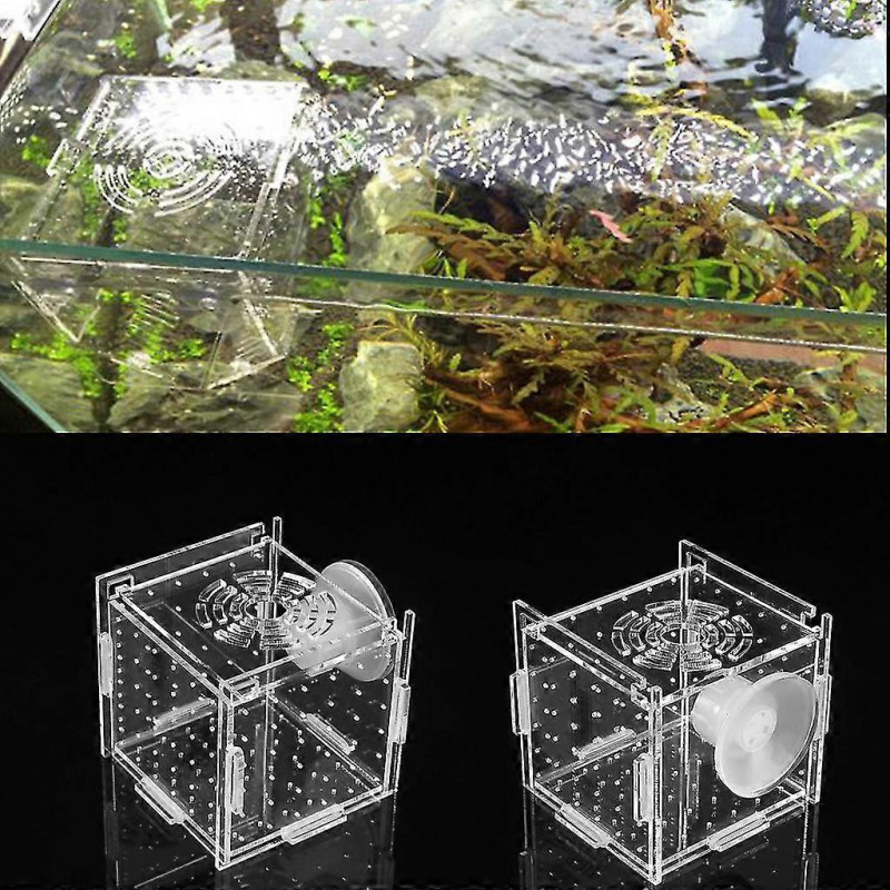 Fish Breeding Box Aquarium Small Incubator With Suction Cup For Newborn Shrimp