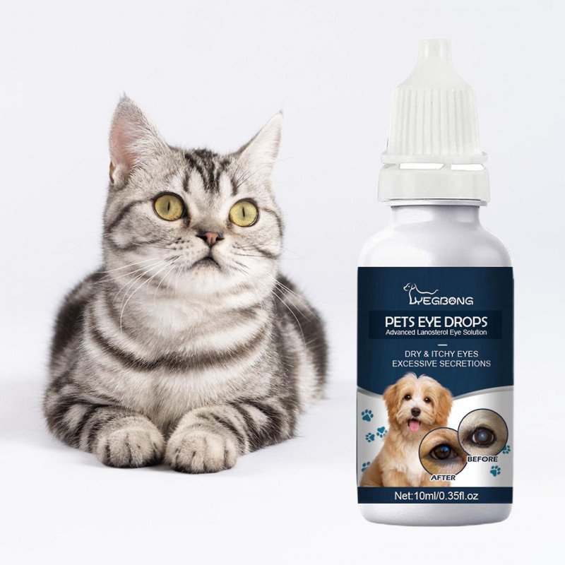 10ml Gouttes oculaires pour chiens Ingrédients sûrs Absorption rapide Haute efficacité Longue durée Doux Anti- [...]