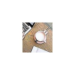 Montagnes russes chauffantes intelligentes à température constante, base d’eau isolée, coussin chauffant chauffant [...]