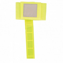 Roma Reflective Tail Band