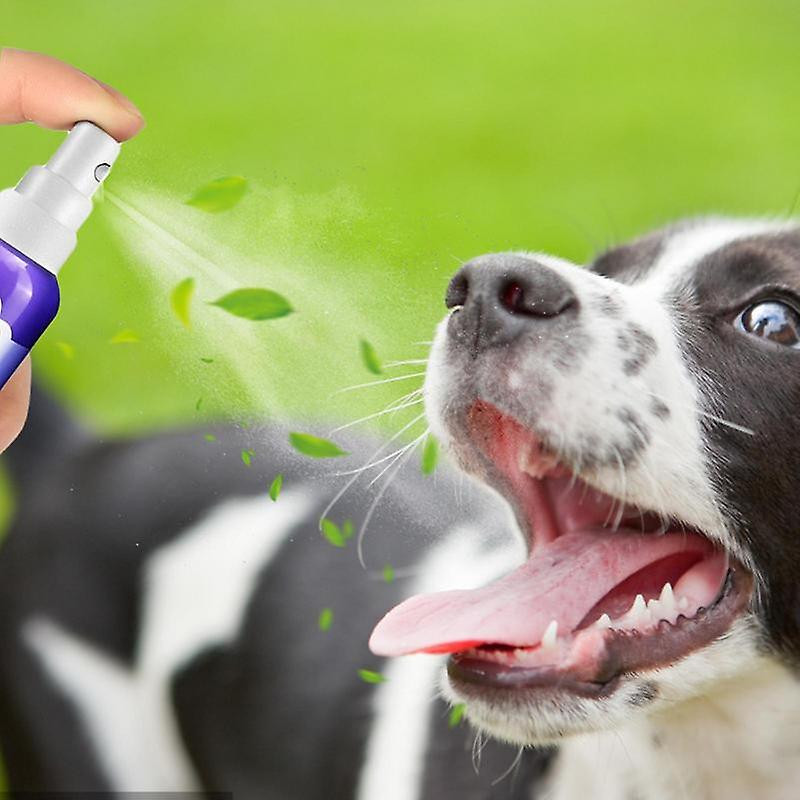 Dog Breath Freshener Spray Fresh Dental For Dogs And Cats Mouth Wash Rinse 30ml Cat Care Bad