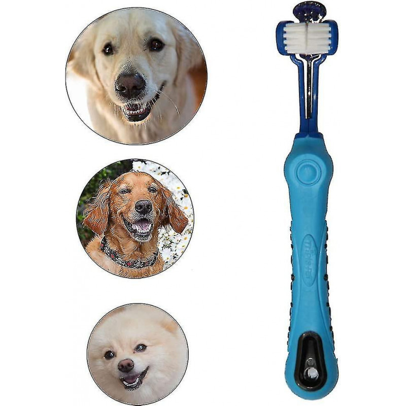 Pet Dog Toothbrush Teeth Care - Three Heads Toothbrush - Vets And Groomers Recommended (blue)