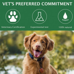 1 Bouteille 60ml Pet Eye Drops Dog Cat Tearing Stain Removal Dirt Stain Remover Anti-inflammatory Eye Care Cleaner