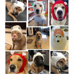Dog Neck and Ear Warmer for Large Dogs Anxiety Relief and Calming Hoodie Hat Dog Neck and Ear Warmer for Large Dogs Anxiety Relief and Calming Hoodie Hat
