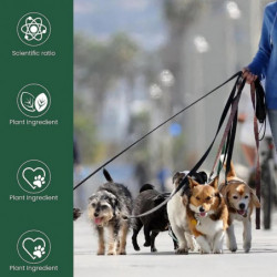 Formule de guérison de l’arthrite pour animaux de compagnie pour chats chiens Soulagement des douleurs osseuses de [...]