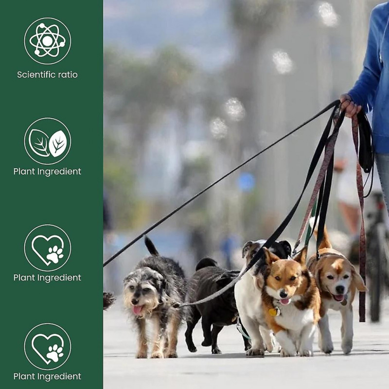 Formule de guérison de l’arthrite pour animaux de compagnie pour chats chiens Soulagement des douleurs osseuses de [...]