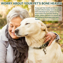 Formule de guérison de l’arthrite pour animaux de compagnie pour chats chiens Soulagement des douleurs osseuses de [...]