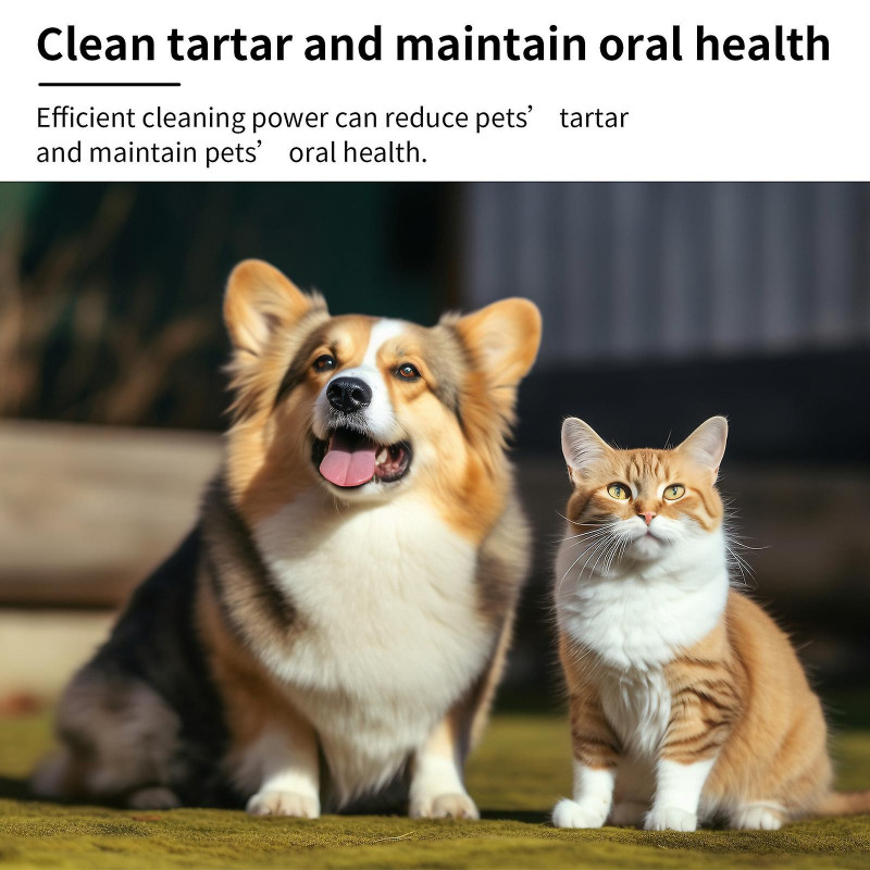 Spray nettoyant pour les dents des animaux de compagnie, Spray pour l’haleine fraîche à la menthe pour animaux de [...]