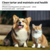 Spray nettoyant pour les dents des animaux de compagnie, Spray pour l’haleine fraîche à la menthe pour animaux de [...]