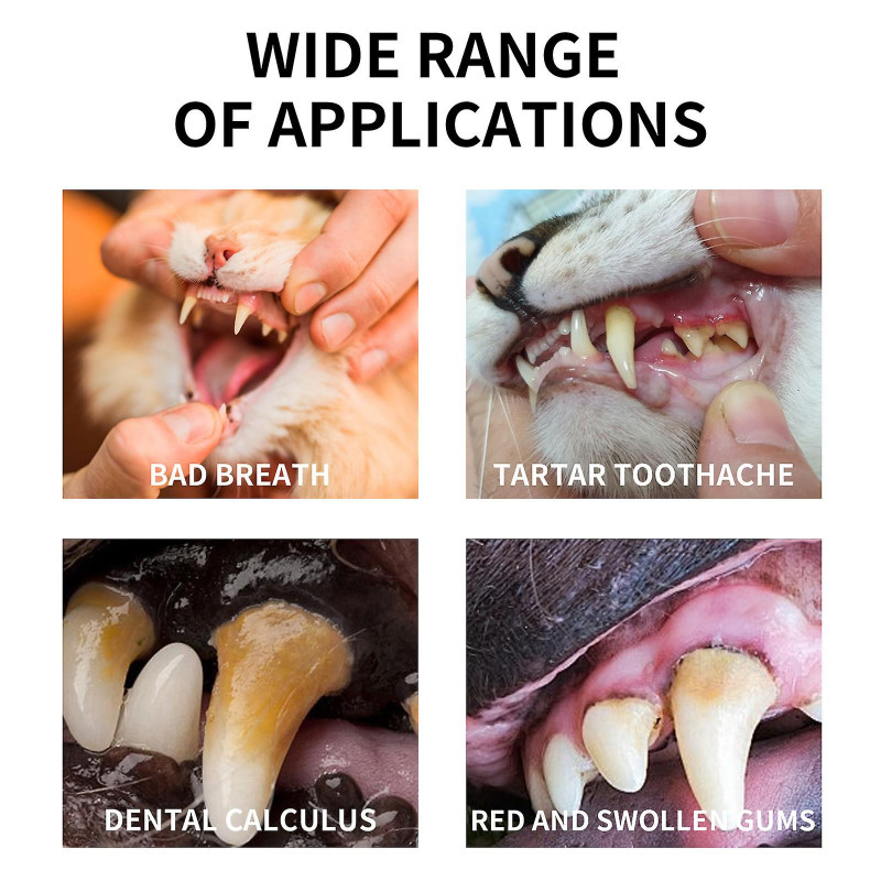 Spray nettoyant pour les dents des animaux de compagnie, Spray pour l’haleine fraîche à la menthe pour animaux de [...]