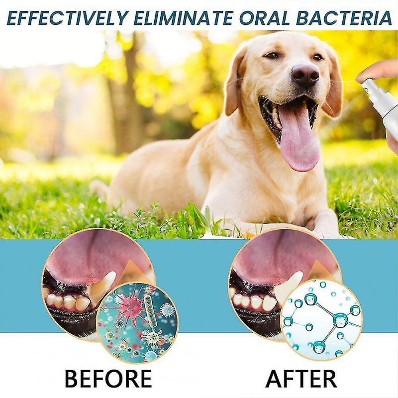 Pet Oral Spray Dog Cat Pet Nettoie les dents et la bouche, réduit la plaque et le tartre-yu