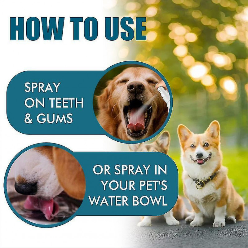 Pet Oral Spray Dog Cat Pet Nettoie les dents et la bouche, réduit la plaque et le tartre-yu