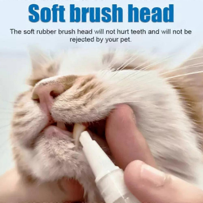 Stylo brosse à dents pour animaux de compagnie, stylo de brosse à dents pour animaux de compagnie Doggocomfy, [...]