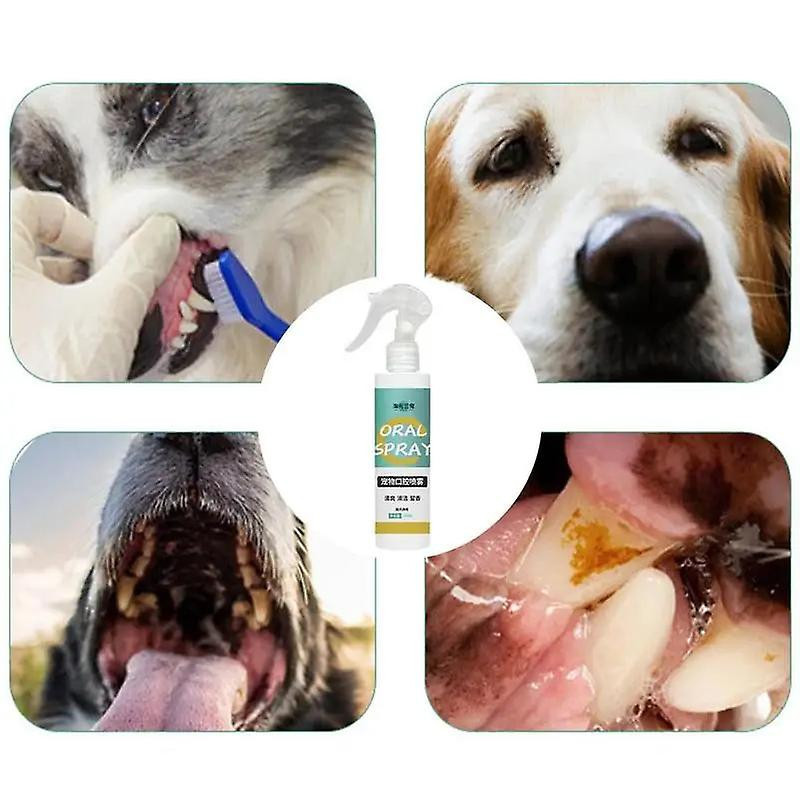 Rafraîchisseur d’haleine pour chien 180 ml Spray de soins bucco-dentaires pour animaux de compagnie Spray efficace [...]