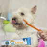 Pet For Dog Toothbrush Brush Toothpaste Soft Goods Silicone Finger Tartar Plush Accessories Products Cat Care [...]