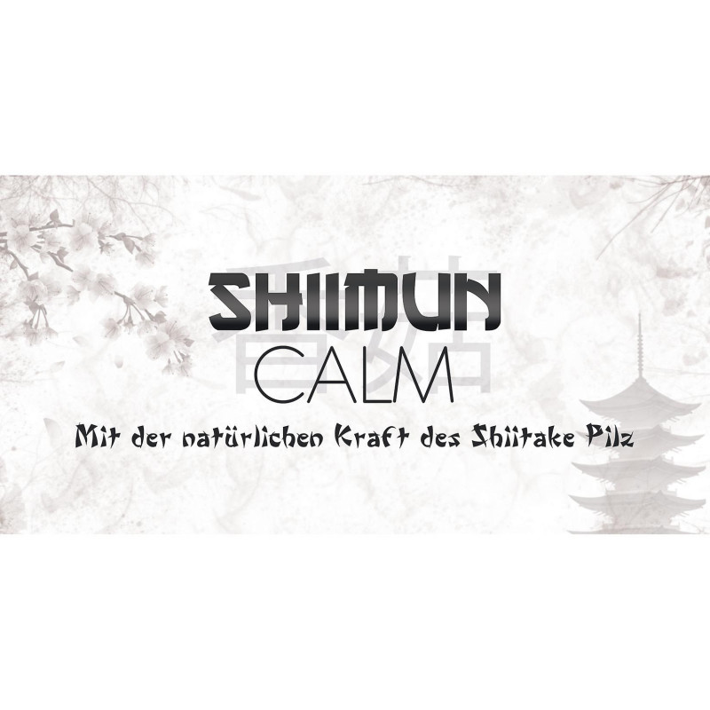 Bellfor Sommerurlaub Sparset für Hunde