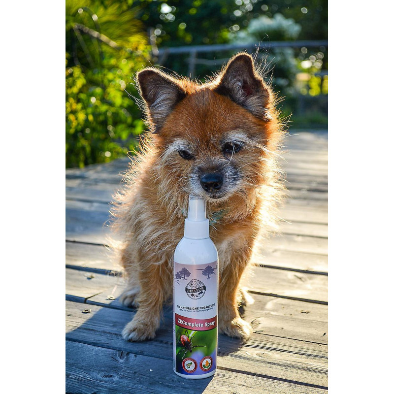 Bellfor klein ZEComplete Spray für Hunde