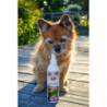 Bellfor klein ZEComplete Spray für Hunde