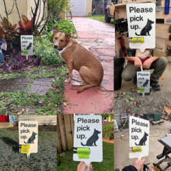 Dog Poop Sign with Bag Holder, Dog Lawn Sign, Please Clean Up After Your Pet -GSL Dog Poop Sign with Bag Holder, Dog Lawn Sign, Please Clean Up After Your Pet -GSL