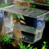 Aquarium Tank Cage Isolation ABS Mini House Fish Breeding Box avec ventouses